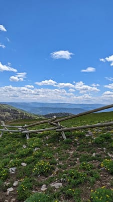 Mountain vista from Kamas, Utah, with rustic wooden rail fence and yellow wildflowers in the foreground. Multiple mountain ranges stretch beneath a bright blue, cloud-dotted summer sky.
